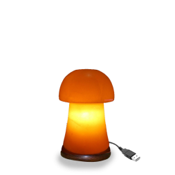 Mushroom USB